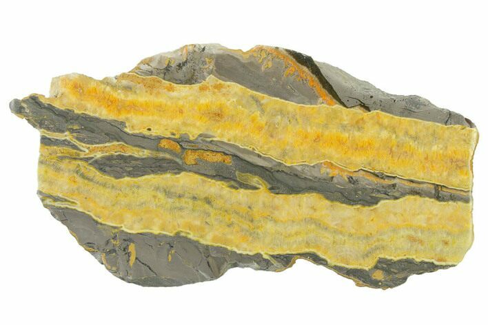 Polished Bumblebee Jasper Slab - Indonesia #338306